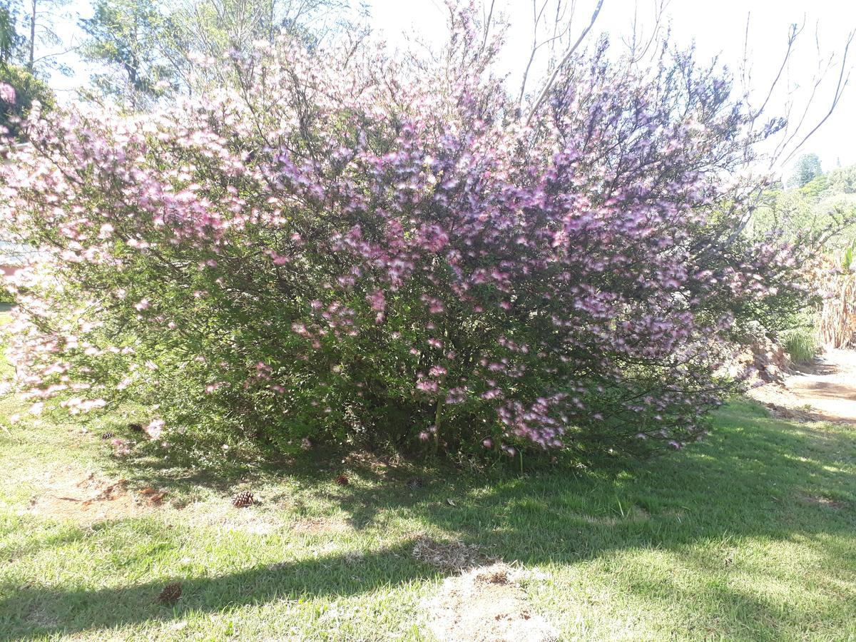 Recanto Borboletas * São Roque